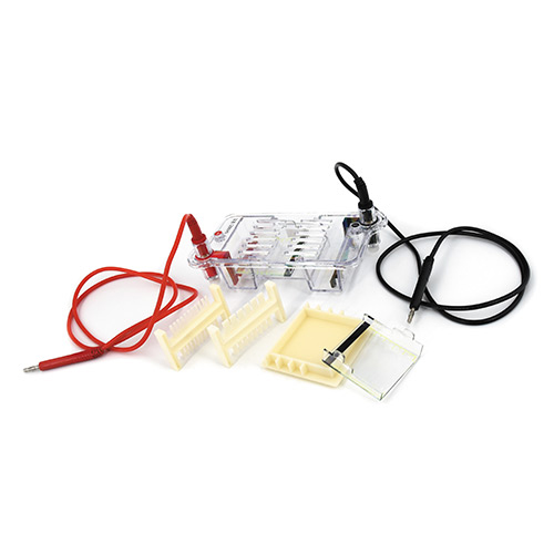 DYCP-31BN Electrophoresis Cell