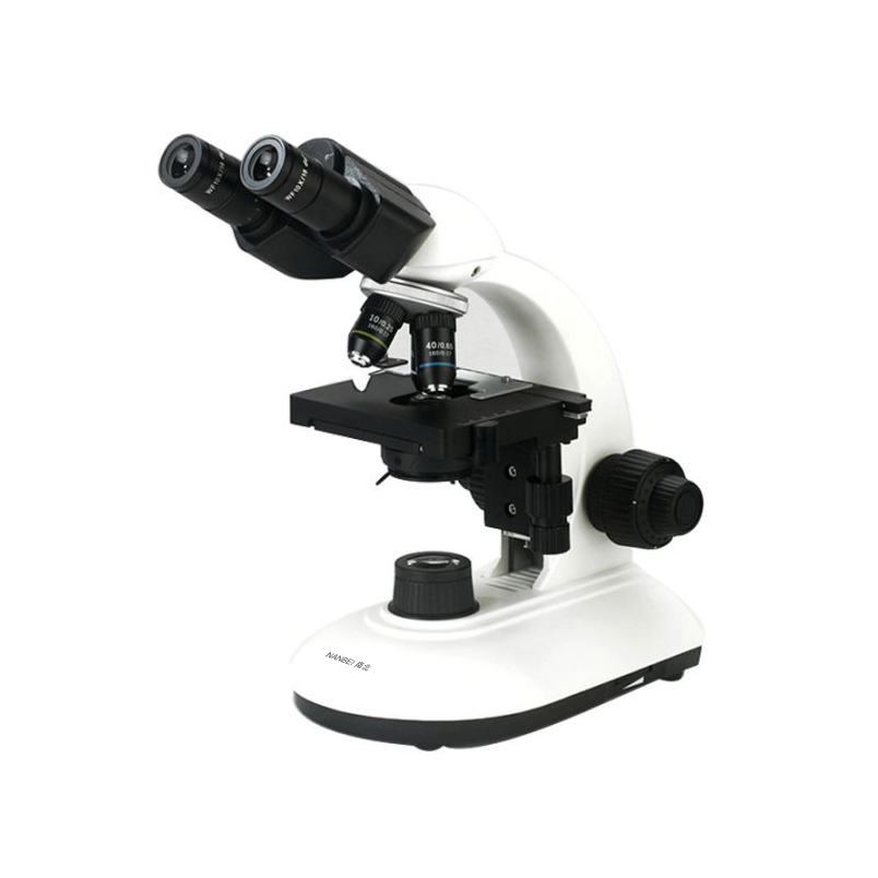 B Series Biological Microscope B204 LED